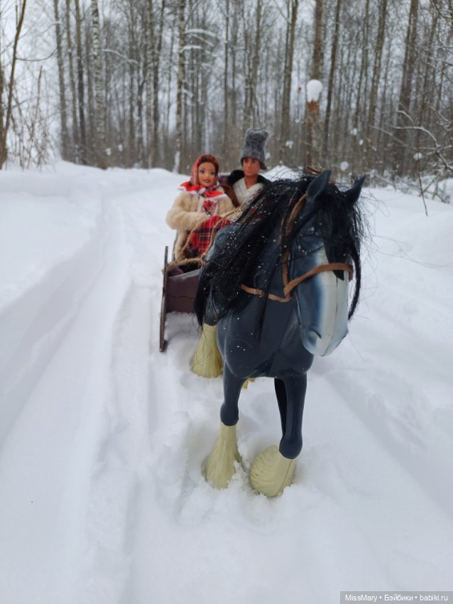 Масленица. Катание на санях (фото 2)