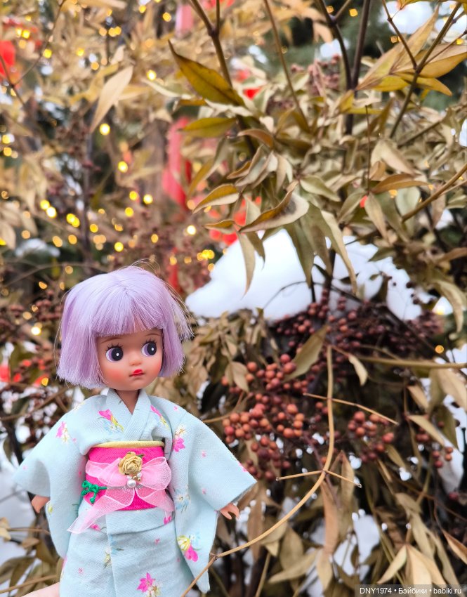 Кукла февраля — Куклы Strawberry Planet: Redberry (фото 4)