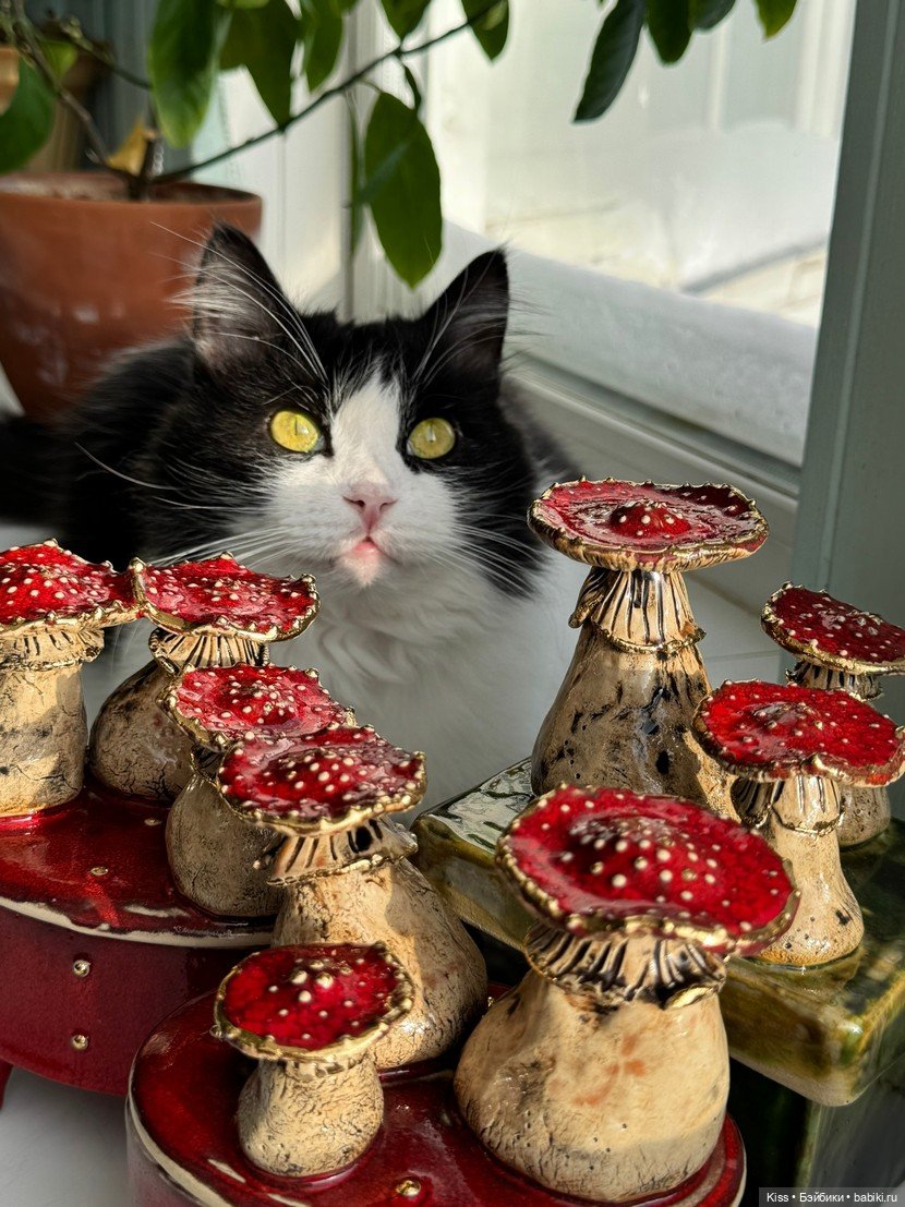 Сказочная керамика Марии Шихалевой