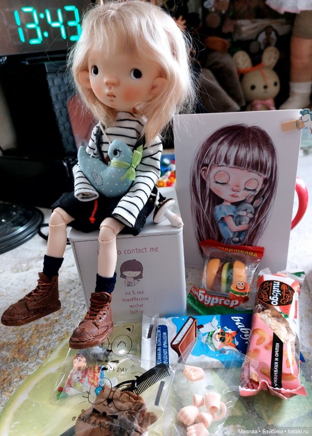 Февральская птичка Birdy прилетела 🐦