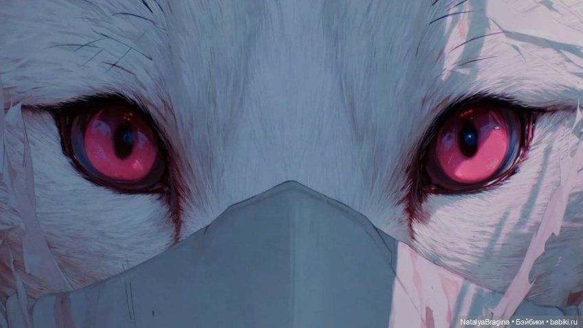 Последнее предупреждение — Интересное и необычное: фотоподборки (фото 8)