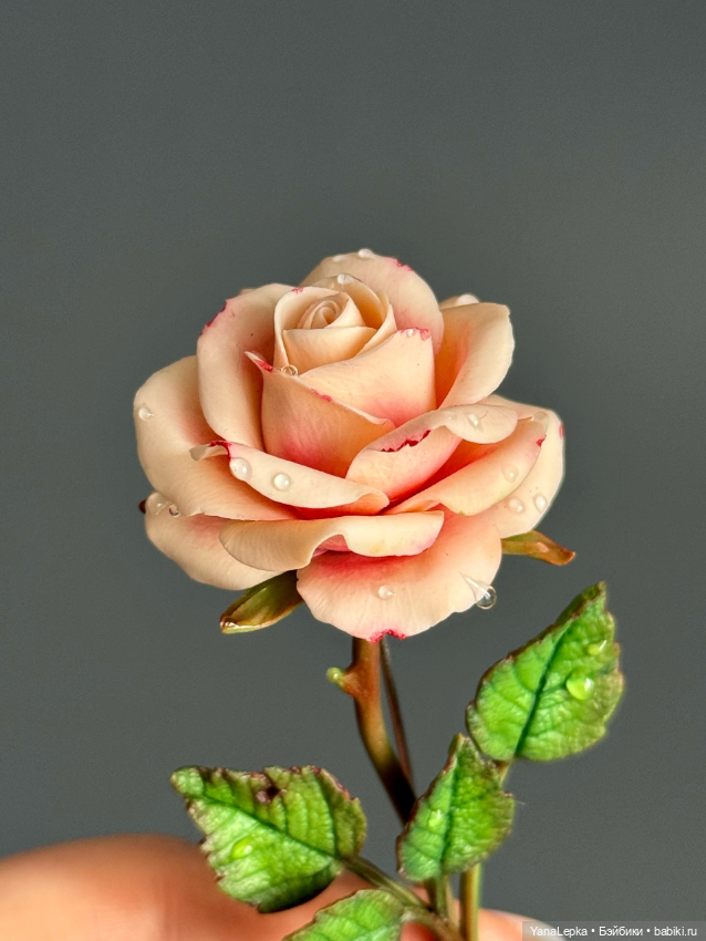 Пост знакомство — Болталка и разговоры обо всем: жизнь (фото 3)