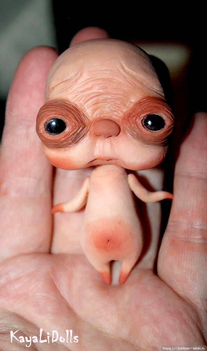 Любимчик. Вид 1 — Лепка авторских игрушек и папье (фото 6)