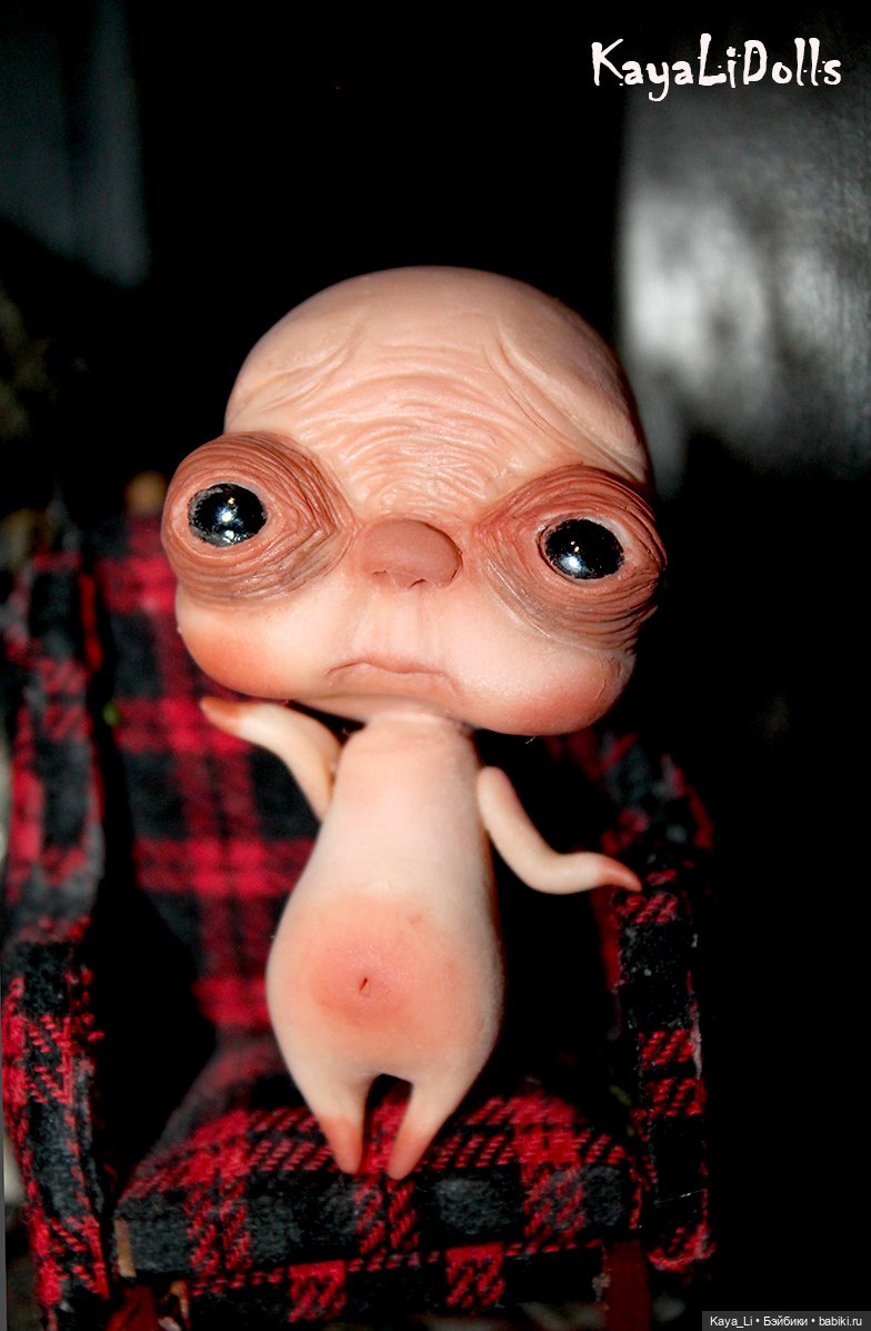 Любимчик. Вид 1 — Лепка авторских игрушек и папье (фото 9)