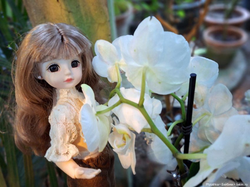 Где цветут орхидеи — Куклы Max & Jessi (Любимая подружка): виниловые