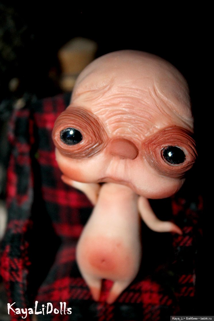 Любимчик. Вид 1 — Лепка авторских игрушек и папье (фото 10)