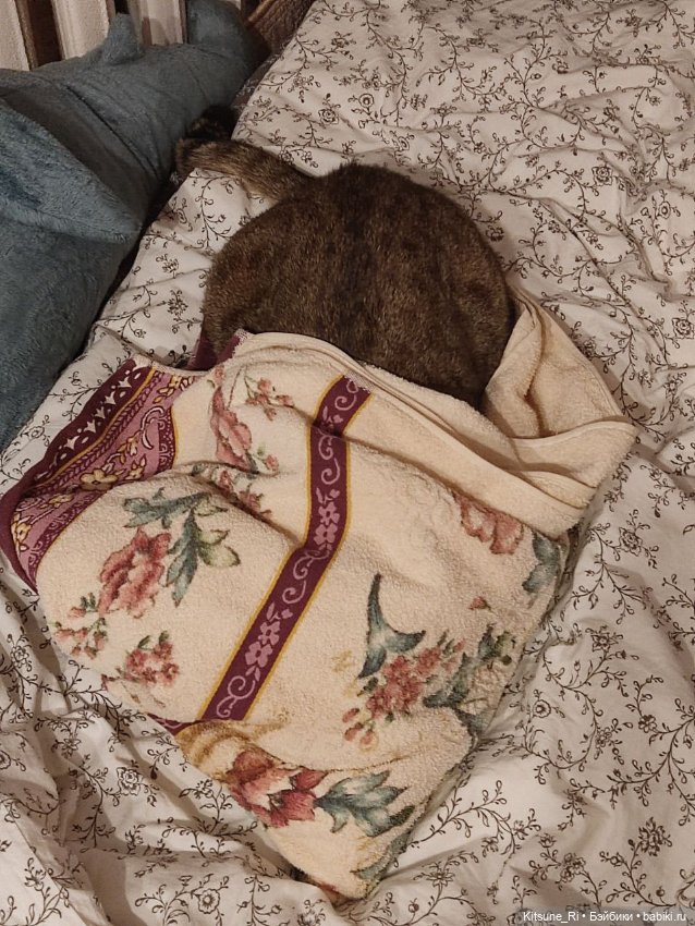 Past in Sicily: соблазнятельно-поздравлятельное