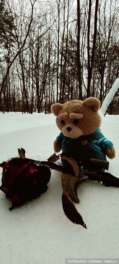 Испытательный срок для Тэдди (фото 10)