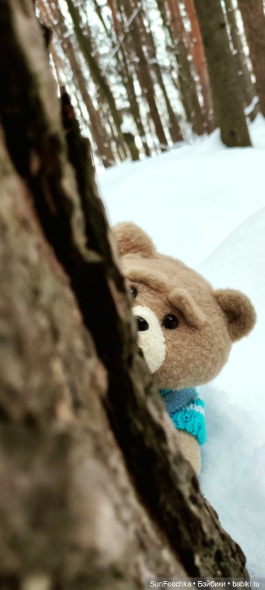 Испытательный срок для Тэдди