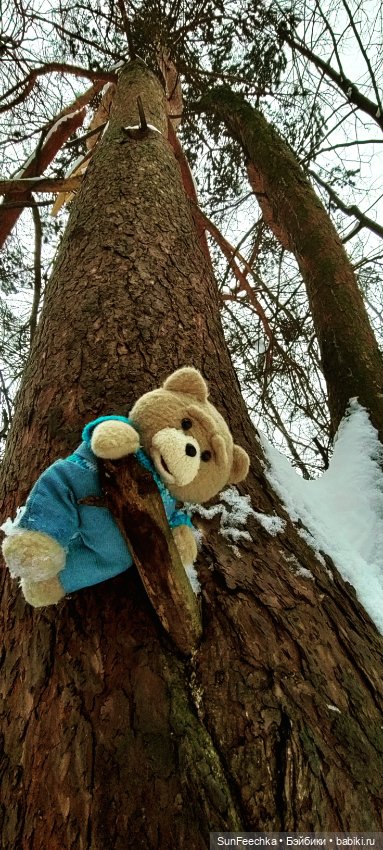 Испытательный срок для Тэдди