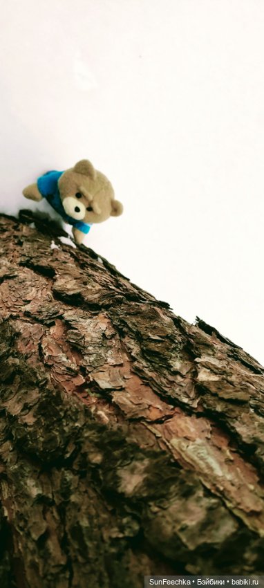 Испытательный срок для Тэдди (фото 4)