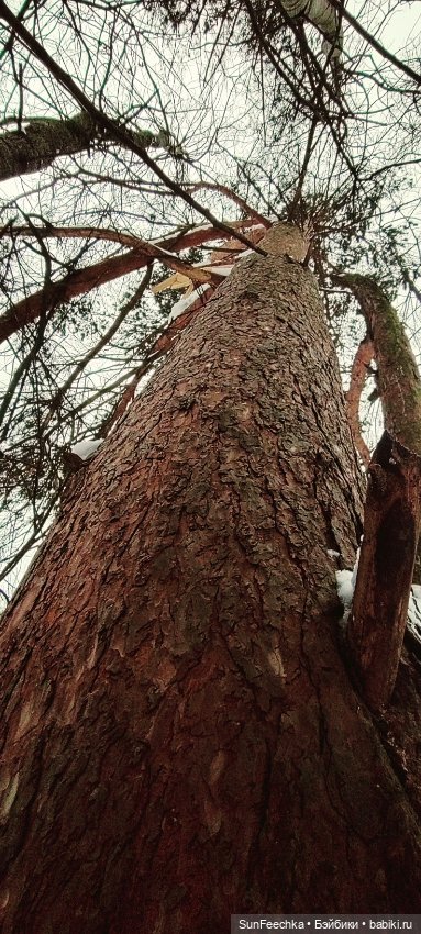 Испытательный срок для Тэдди (фото 7)