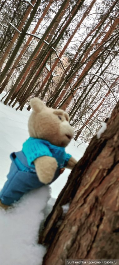 Испытательный срок для Тэдди (фото 2)