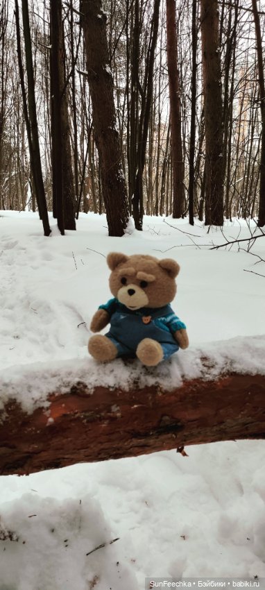 Испытательный срок для Тэдди (фото 8)