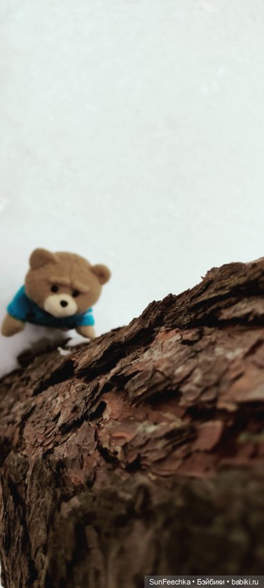 Испытательный срок для Тэдди (фото 5)