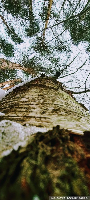 Испытательный срок для Тэдди