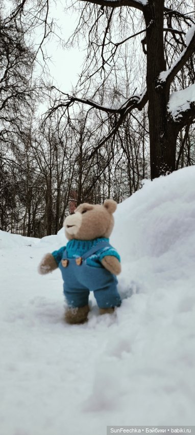 Испытательный срок для Тэдди