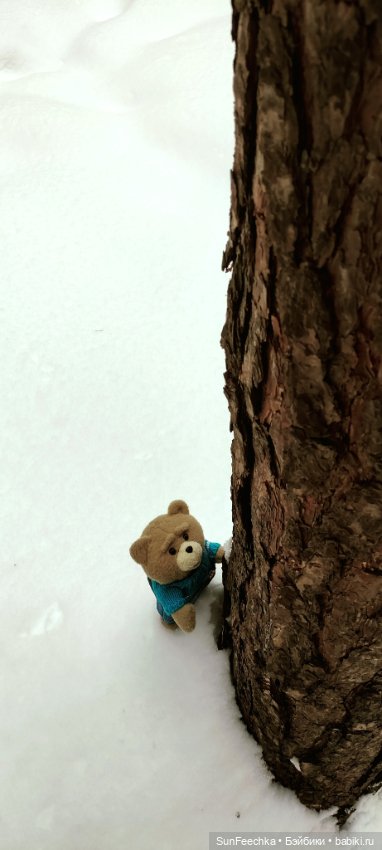 Испытательный срок для Тэдди (фото 3)