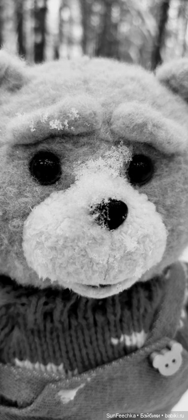 Испытательный срок для Тэдди (фото 9)