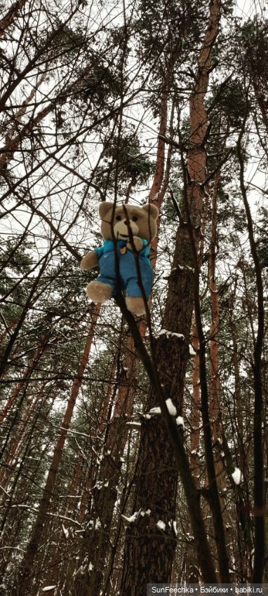 Испытательный срок для Тэдди (фото 6)