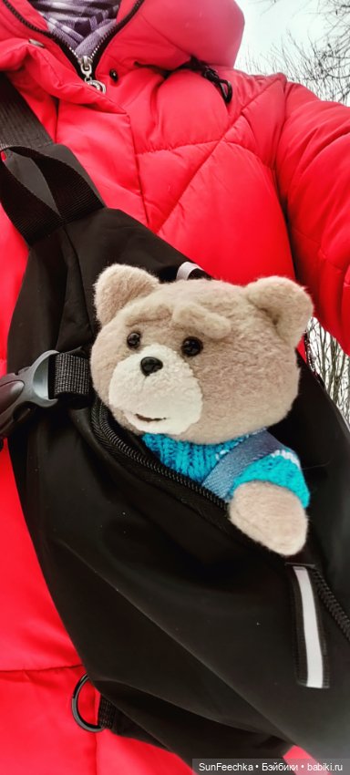 Испытательный срок для Тэдди