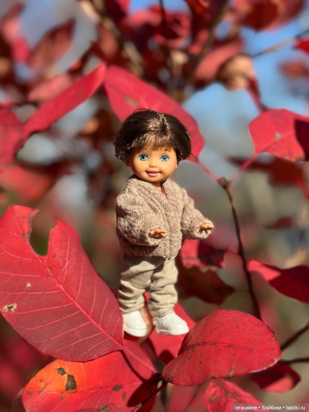 Краски осени часть вторая