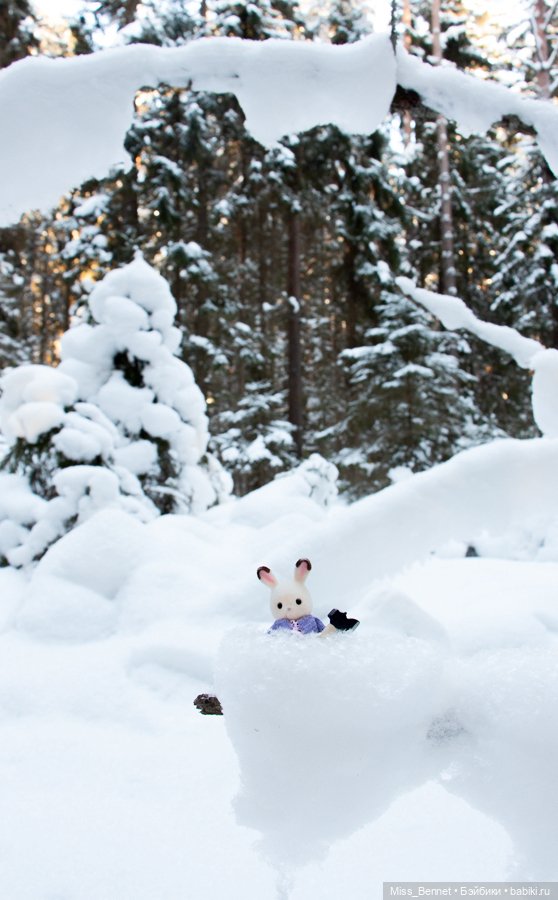 Наша зима — Фотоистории с куклами BJD (БЖД): сериалы (фото 7)