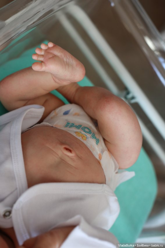 Кристофер от Никки Джонсон (фото 7)