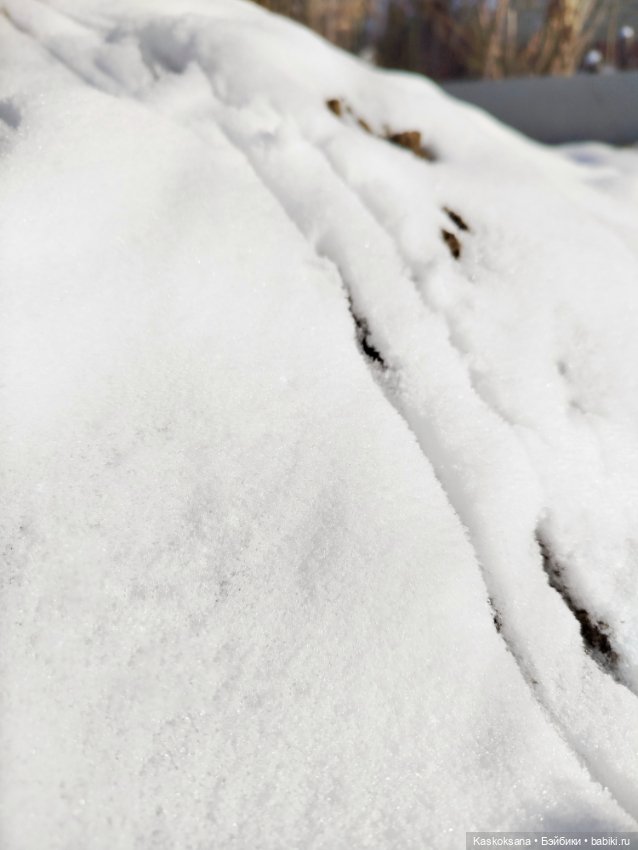 Зимняя прогулка Артема и Алены (фото 5)