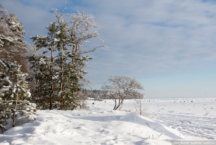 Наша зима — Фотоистории с куклами BJD (БЖД): сериалы (фото 10)