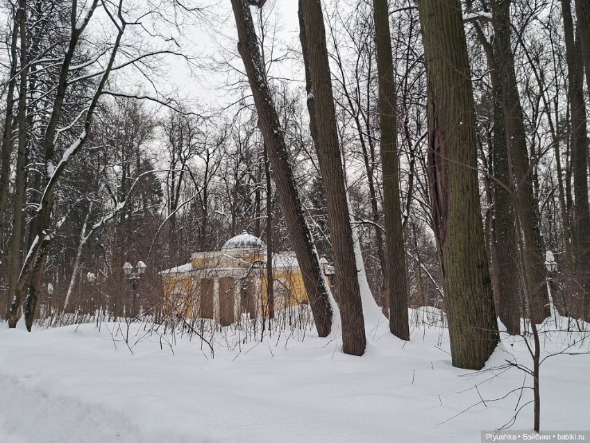 Зимнее Царицыно и Марго — Куклы Barbie (Барби): Looks