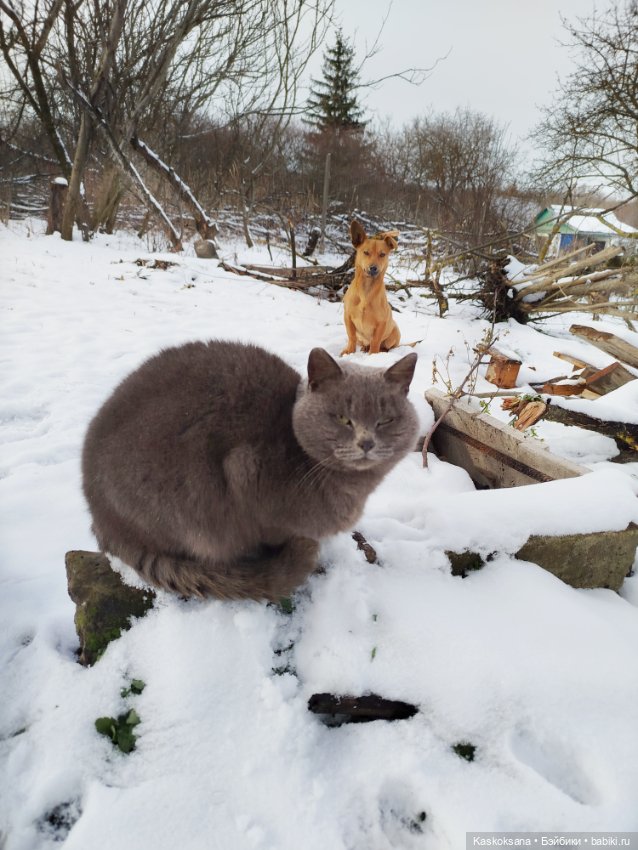 Зимняя прогулка Артема и Алены