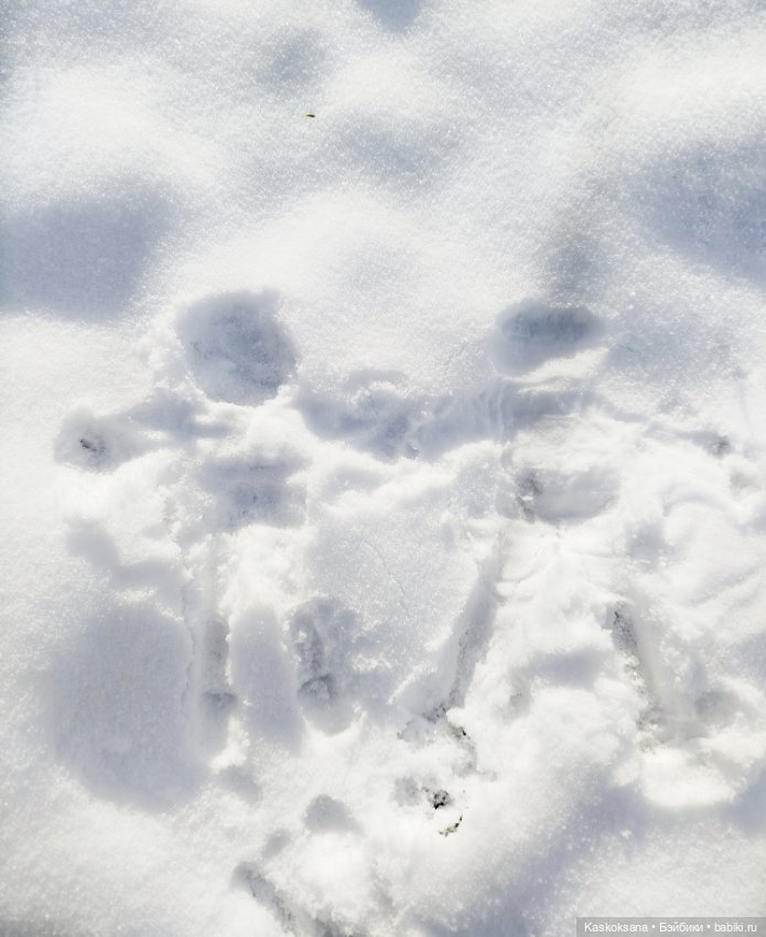 Зимняя прогулка Артема и Алены