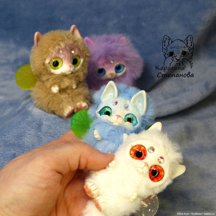 Котокрылы - котята с крыльями (фото 4)