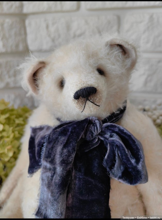 День полярного медведя 🤍🐻 (фото 6)