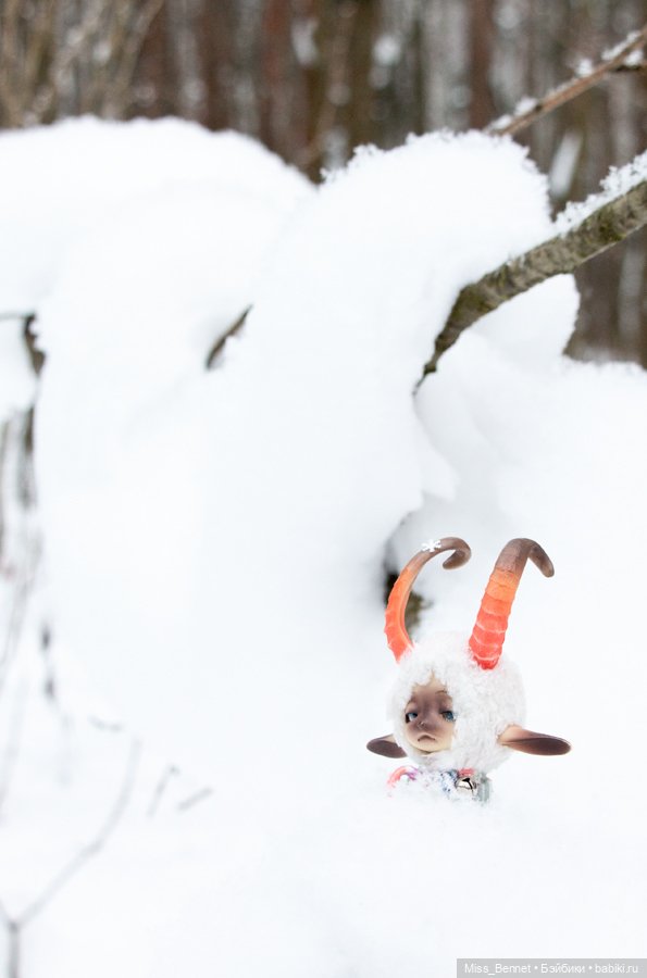 Наша зима — Фотоистории с куклами BJD (БЖД): сериалы (фото 3)