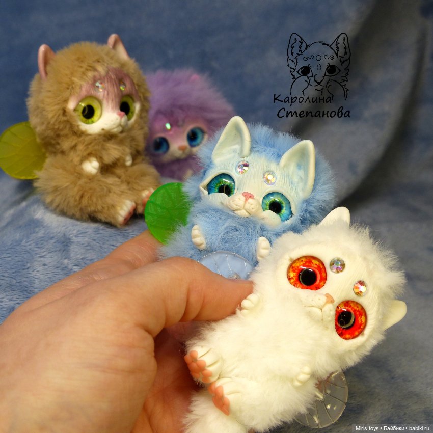 Котокрылы - котята с крыльями (фото 5)