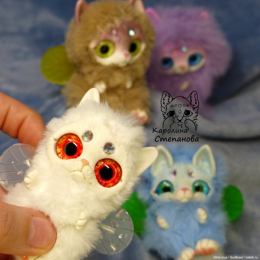 Котокрылы - котята с крыльями (фото 2)