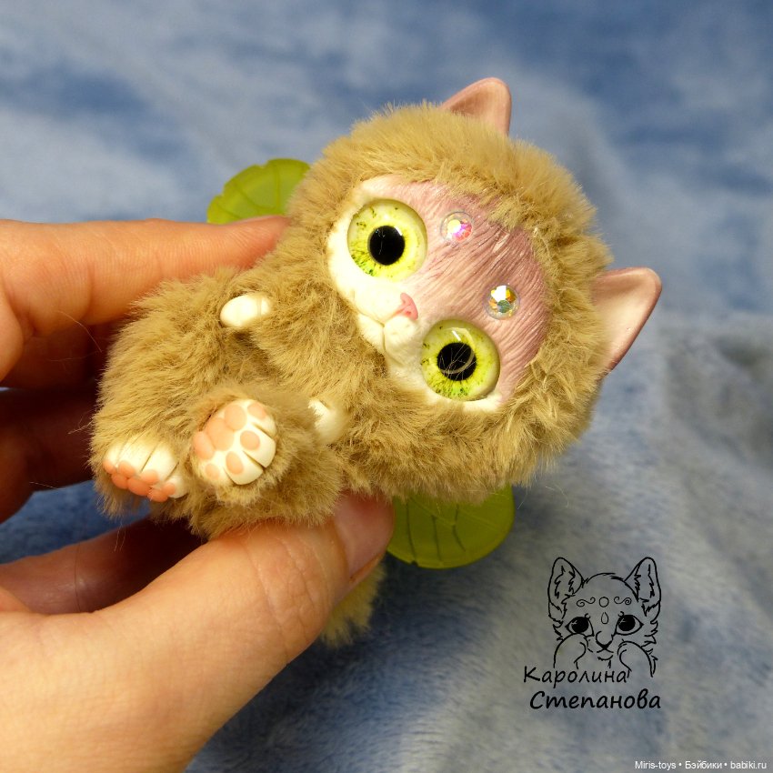 Котокрылы - котята с крыльями