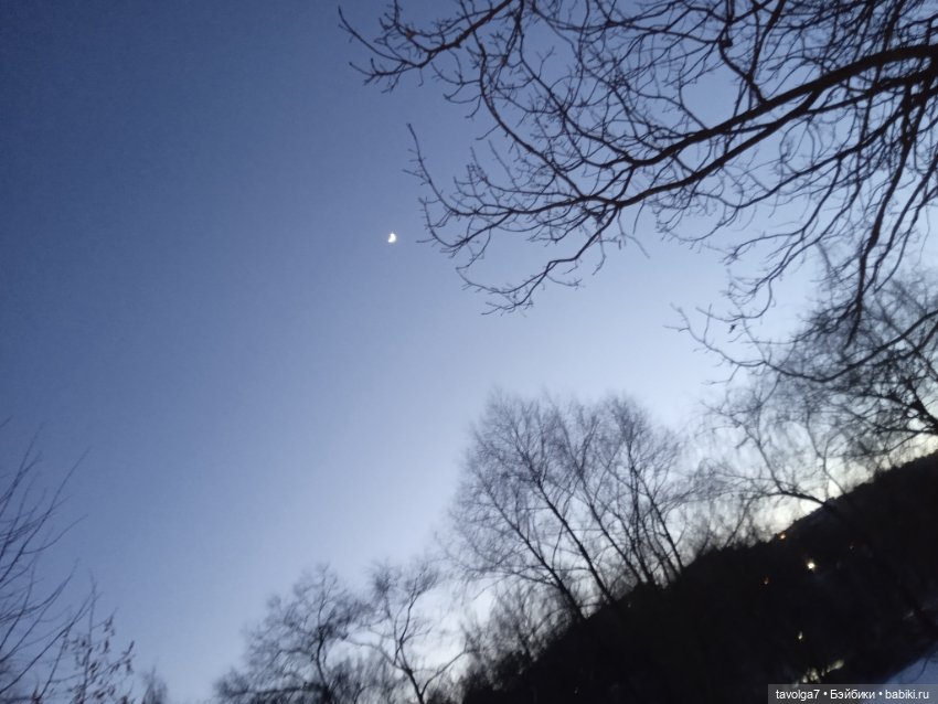 Рой - настроение в подарок