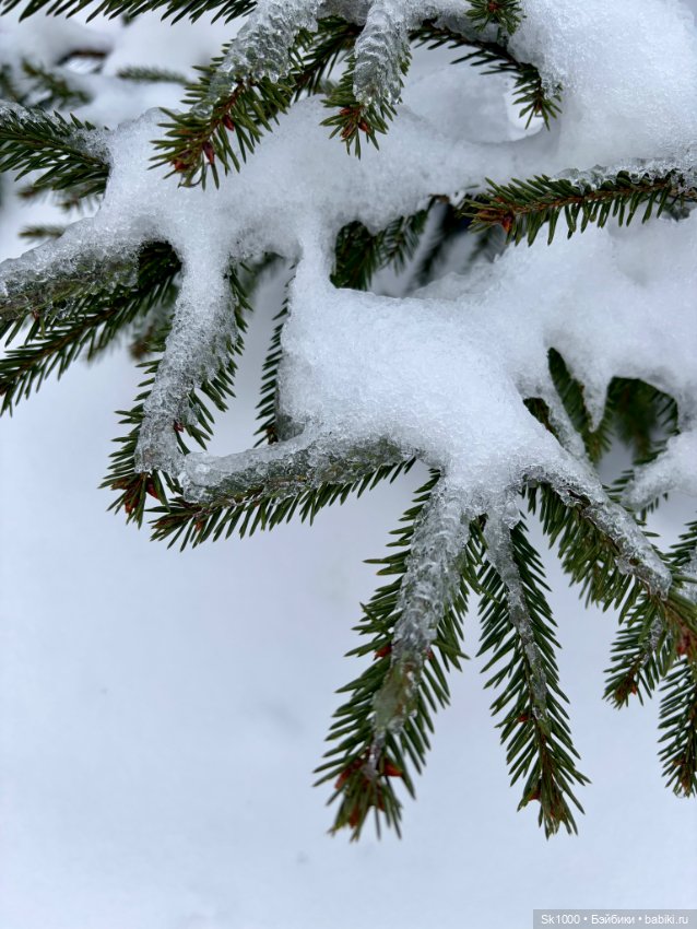 Провожая февраль — Куклы Barbie (Барби): Looks (фото 2)