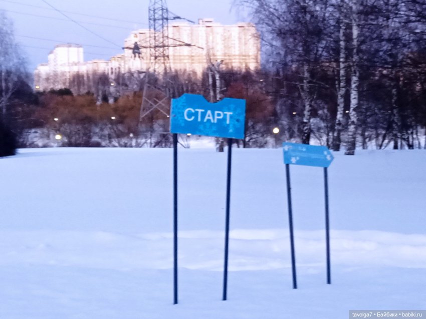 Рой - настроение в подарок