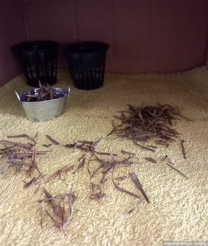 Сказка про Бабушку Агату. Глава 2. Хозяйство (фото 2)