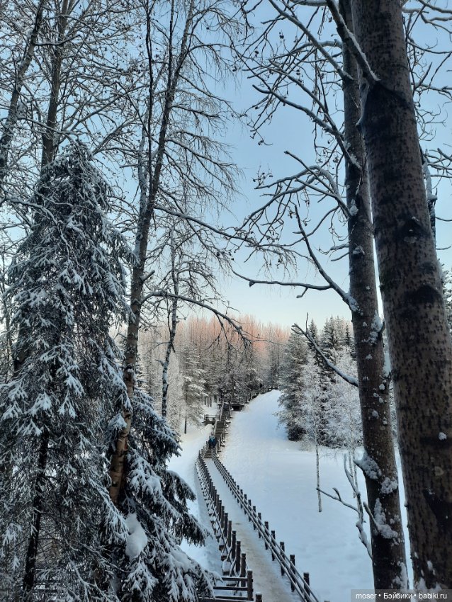 Зимняя сказка в Малых Корелах. На память о зиме (фото 6)