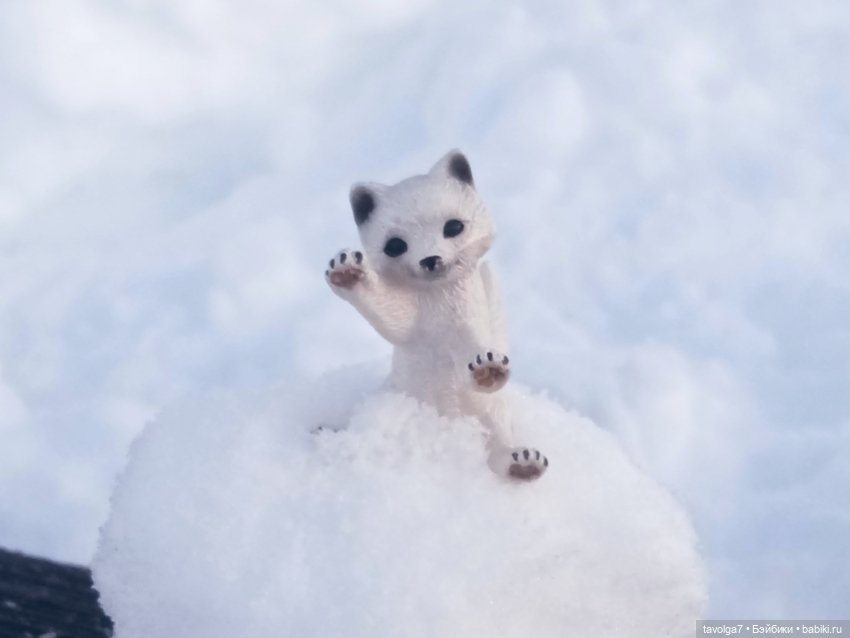 Рой - настроение в подарок