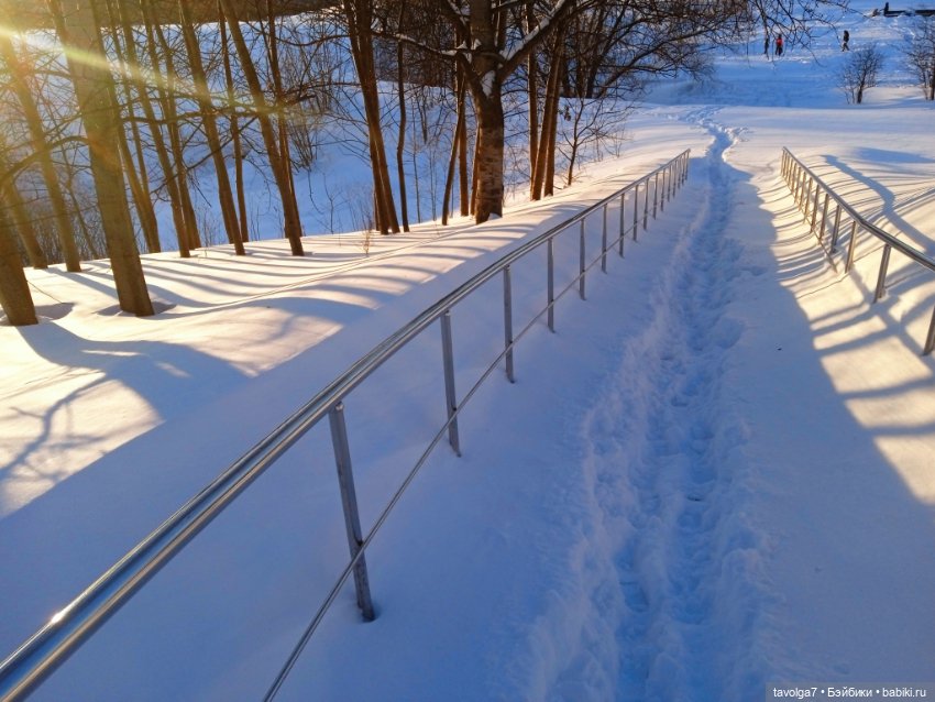 Рой - настроение в подарок