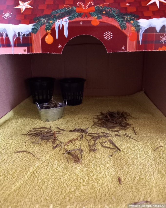 Сказка про Бабушку Агату. Глава 2. Хозяйство