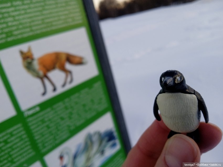 Рой - настроение в подарок