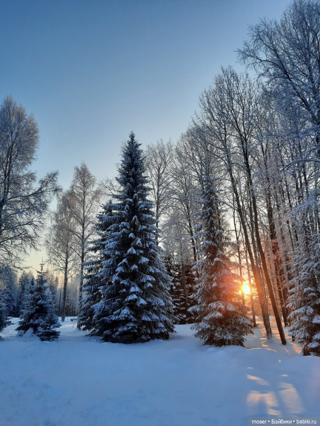 Зимняя сказка в Малых Корелах. На память о зиме (фото 5)