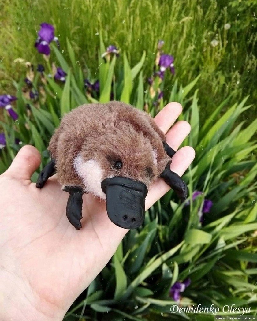 Выкройка утконоса, автор Олеси Демиденко